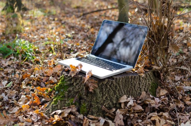laptop